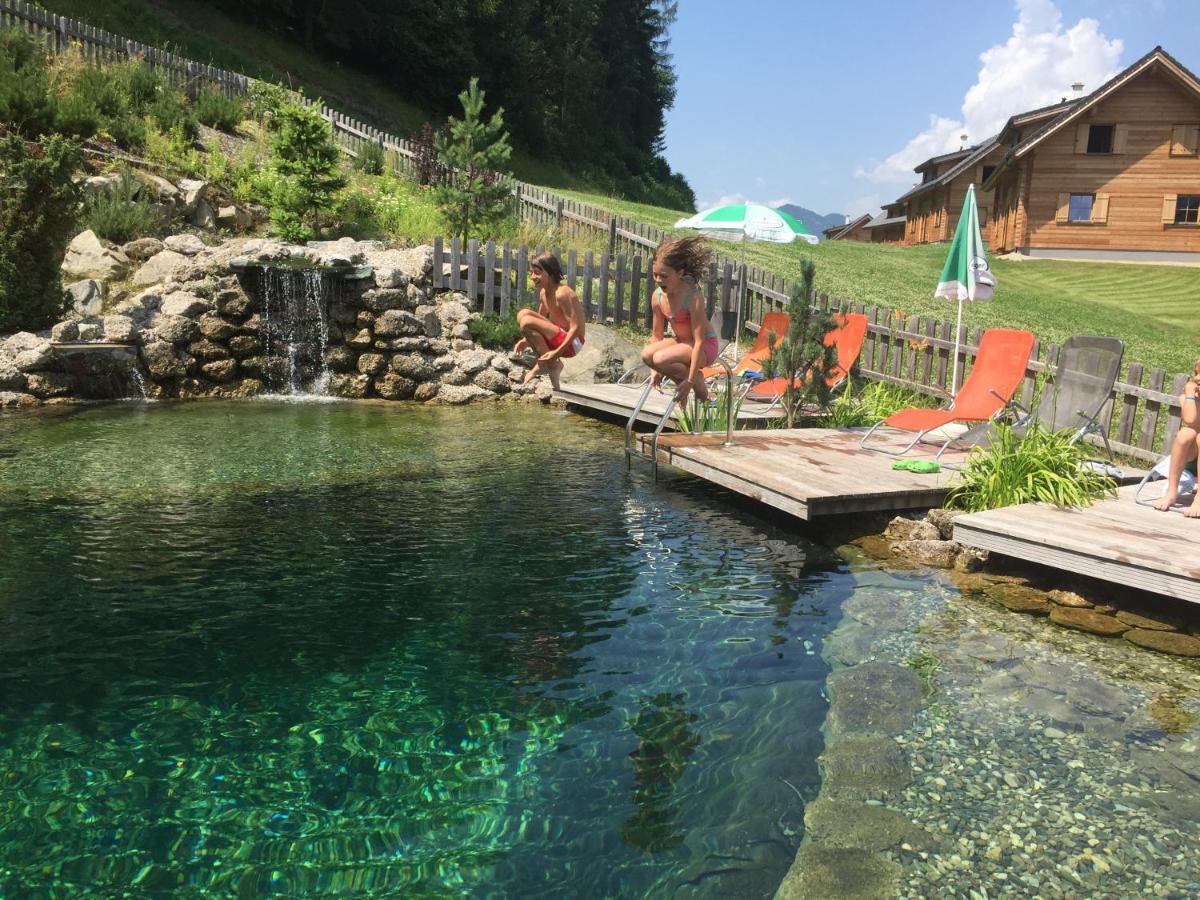 Huettendorf Schladming Bagian luar foto