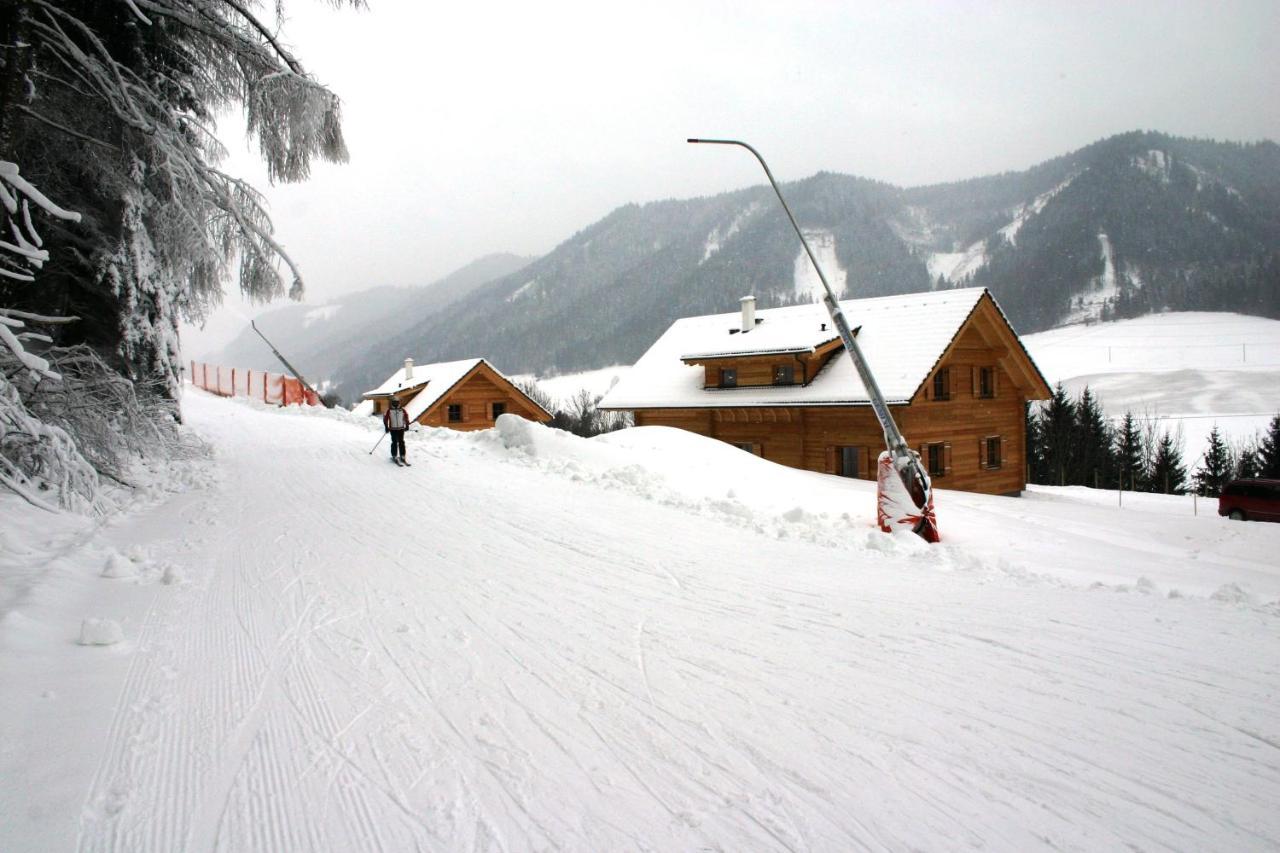 Huettendorf Schladming Bagian luar foto